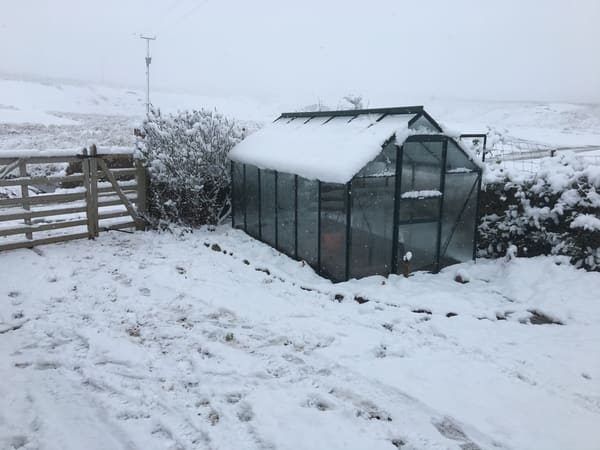 Customer greenhouse photo