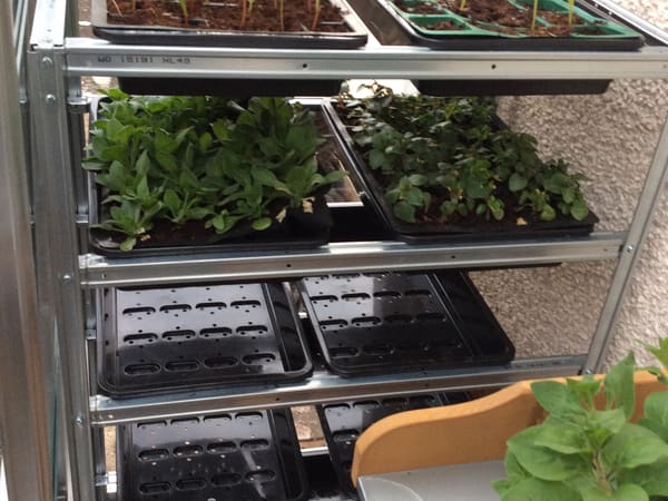 Customer greenhouse photo