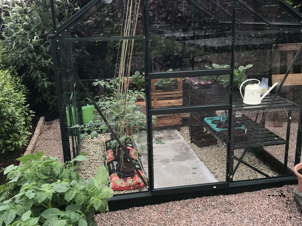 Customer greenhouse photo