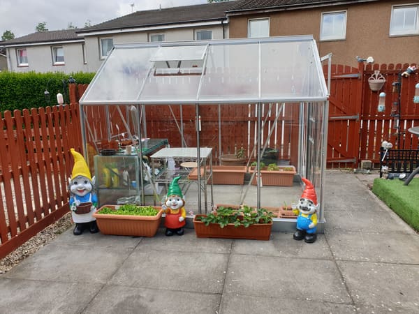 Customer greenhouse photo