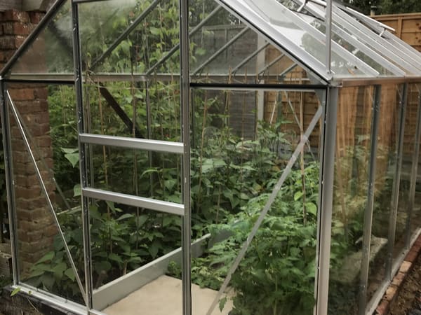 Customer greenhouse photo