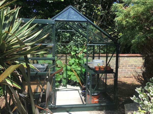 Customer greenhouse photo