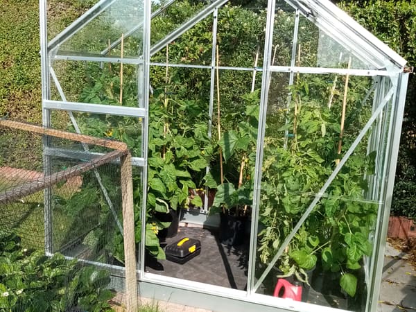 Customer greenhouse photo