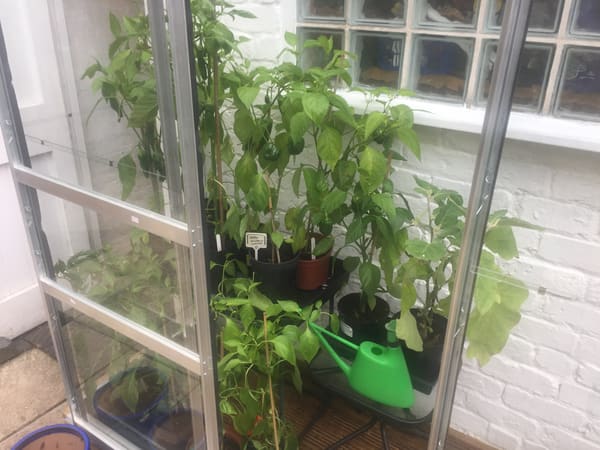 Customer greenhouse photo