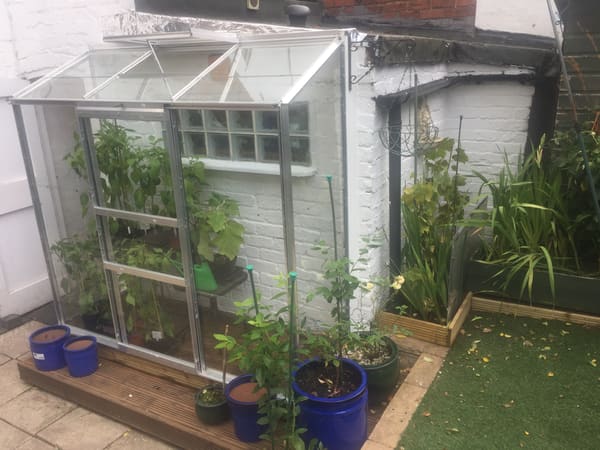 Customer greenhouse photo
