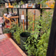 General Eos Junior greenhouse view - colour shown may vary