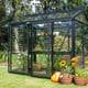 Janssens Helios Urban black greenhouse in a garden
