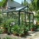 Janssens Master Victorian green greenhouse with plants