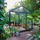 Janssens Senior green greenhouse with plants