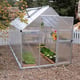 Palram Canopia Mythos 6x12 Silver greenhouse official lifestyle photograph
