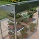 2x4 Access Aluminium Midi Greenhouse Back