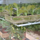 2x4 Access Aluminium Midi Greenhouse Shelving