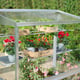 2x4 Access Mini Grownhouse Greenhouse