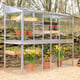 2x6 Access Midi Growhouse Toughened Glass