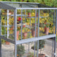 3x5 Access Exbury Mini Greenhouse Toughened Glass Ventilation