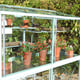 3x6 Access Exbury Mini Growhouse with Toughened Glass