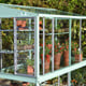 3x6 Access Exbury Mini Greenhouse with Toughened Glass Shelving