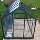 6x10 Vitavia Venus Green Greenhouse in Horti Glass
