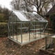 8x10 Vitavia Neptune Greenhouse with Toughened glass