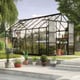 Vitavia Phoenix Black 8x10 Greenhouse