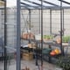 8x6 Grey Vitavia Freya Greenhouse Door Detail