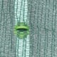 Elite Netting Original Close-Up