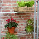 2x3 Access-Harlow Aluminium Mini Lean to Greenhouse Shelving
