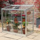 2x3 Access-Harlow Aluminium Mini Lean to Greenhouse with Optional Glass Back