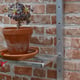 2x3 Access Harewood Lean To Growhouse Toughened Glass Alloy Shelf