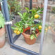 2x3 Access Lean-To Greenhouse With Back