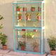 1x3 Access Westminster Lean To Greenhouse in Green