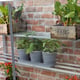 1x3 Access Westminster Lean To Greenhouse Shelves