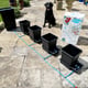 AutoPot 4Pot System - lifestyle