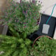 AutoPot easy2GO Kit - gallery