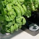 AutoPot easy2GO Kit - gallery