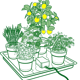 AutoPot easy2GO Kit - line drawing