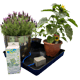 AutoPot easy2GO Kit - cutout