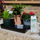 AutoPot easy2GO Kit - in use