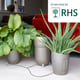 AutoPot Khloris Watering System - Metallic Sage - in a living room setting