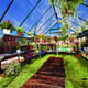 Palram Greenhouses Balance 8x12 Green Inside