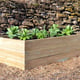 Access 4x2 Raised Garden Bed