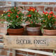 2x5 Access Harlow Aluminium Mini Greenhouse