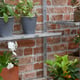 2x5 Access Harlow Aluminium Mini Lean to Greenhouse Staging