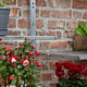 2x5 Access Harewood Mini Greenhouse Folding Shelves