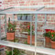 2x5 Access Harewood Mini Greenhouse Lean To