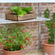 2x5 Access Hampton Lean To Greenhouse Aluminium Lower Shelving
