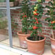2x5 Access Hampton Lean To Greenhouse Aluminium Lower