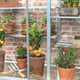 2x5 Access Hampton Lean To Greenhouse Aluminium Staging