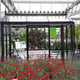 Black Janssens Helios Urban Victorian Greenhouse