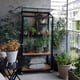 Black Juliana City Greenhouse